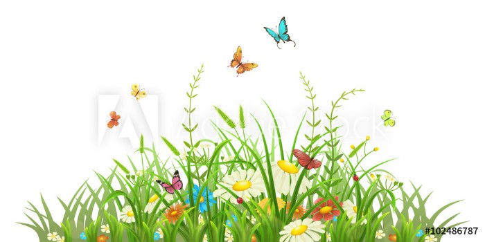 Picture of Spring green grass with flowers and butterflies on white background